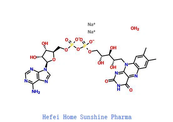 Flavin Adenine Dinucleotide Disodium Salt Hydrat CAS 84366-81-4