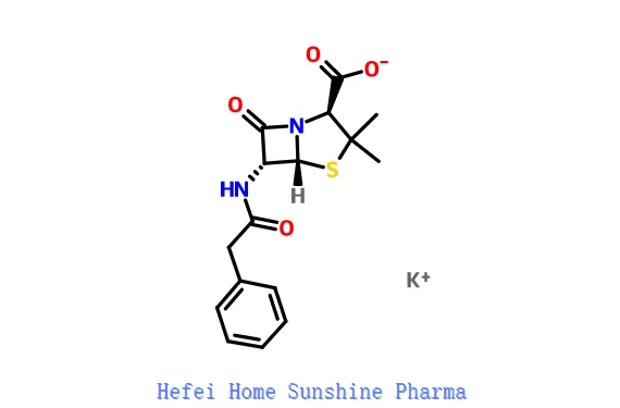 Kaliumbenzylpenicillin CAS 113-98-4