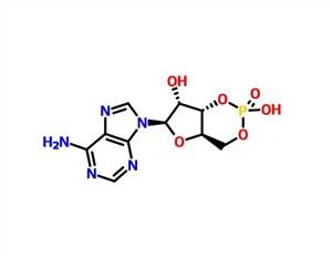 Adenosin 3',5'-cyklisk monophosphat (CAMP) CAS 60-92-4