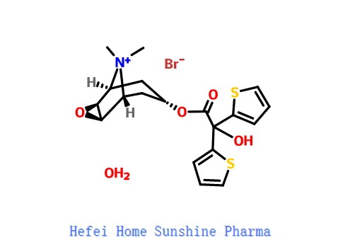 Tiotropiumbromidhydrat CAS 139404-48-1